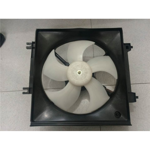 Fan radaitheora do dhaoine foraoise 2009-2012 73310AG000